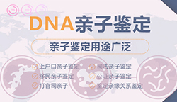 攀枝花司法亲子鉴定大概价格，攀枝花司法亲子鉴定怎么做