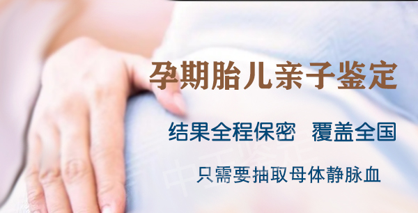 在[攀枝花]刚怀孕要如何办理亲子鉴定,攀枝花孕期亲子鉴定收费标准