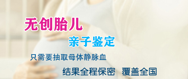 攀枝花肚子里胎儿和父亲需要怎么做亲子鉴定,攀枝花无创孕期亲子鉴定大概多少费用 攀枝花肚子里胎儿和父亲需要怎么做亲子鉴定,攀枝花无创孕期亲子鉴定大概多少费用