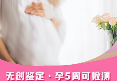在[攀枝花]刚怀孕要如何办理亲子鉴定,攀枝花孕期亲子鉴定收费标准