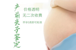 攀枝花需要怎么办理怀孕亲子鉴定[挂号预约]