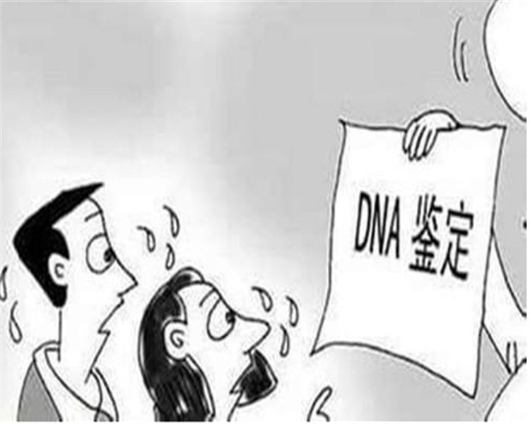 攀枝花司法亲子鉴定基本流程,攀枝花司法亲子鉴定费用多少钱一次